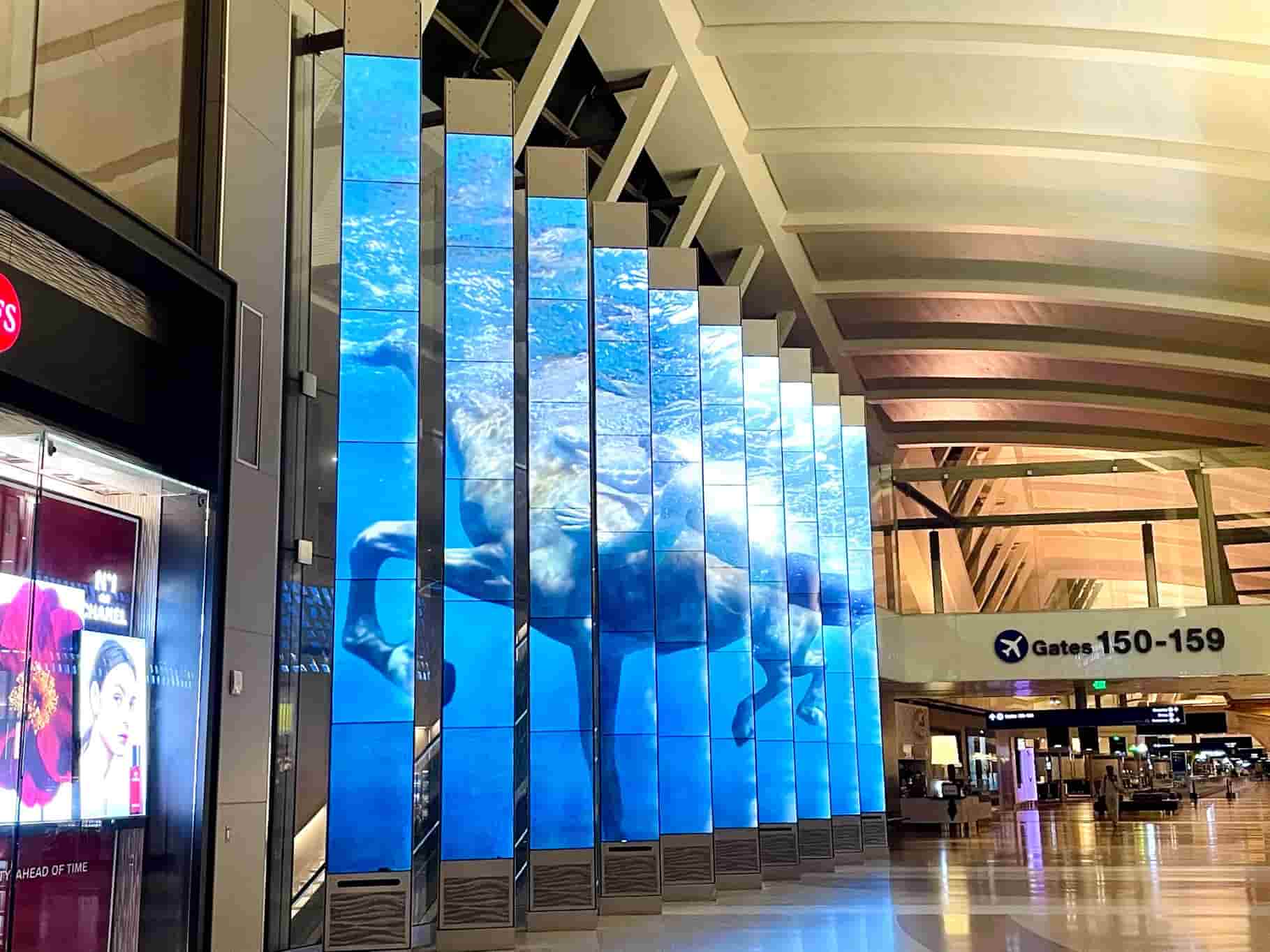 Venues & Immersive Environments